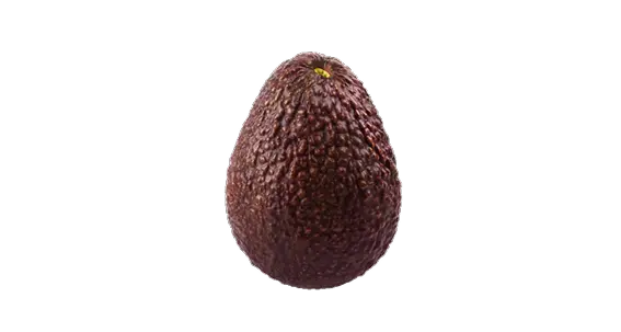GEM avocado
