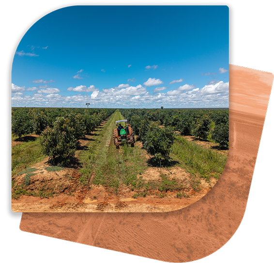 Sustainability photo 1