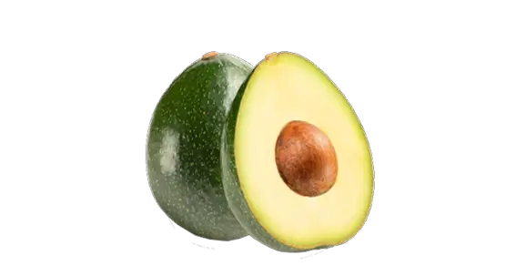 Reed avocado